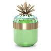 Swarovski Jungle Beats Decorative Box Andoki, Light Green
