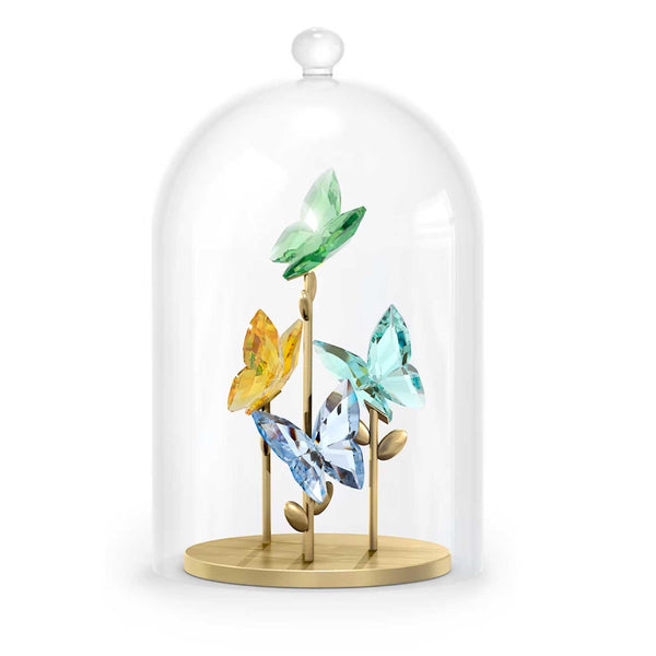 Swarovski Jungle Beats Butterfly Bell Jar – David Shuttle Ltd