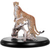 Swarovski Crystal Myriad Mirembe