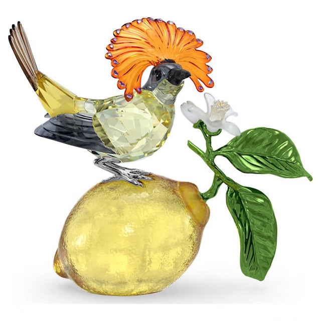 Swarovski Idyllia Royal Flycatcher
