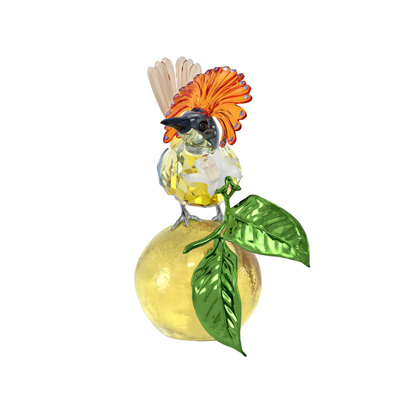 Swarovski Idyllia Royal Flycatcher