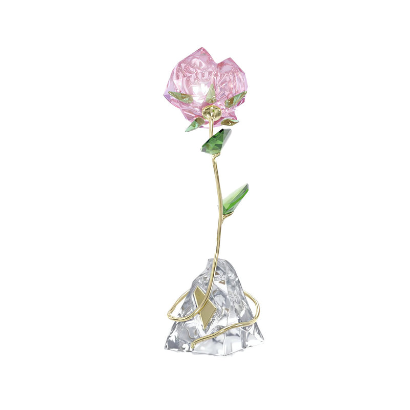 Swarovski Florere Rose