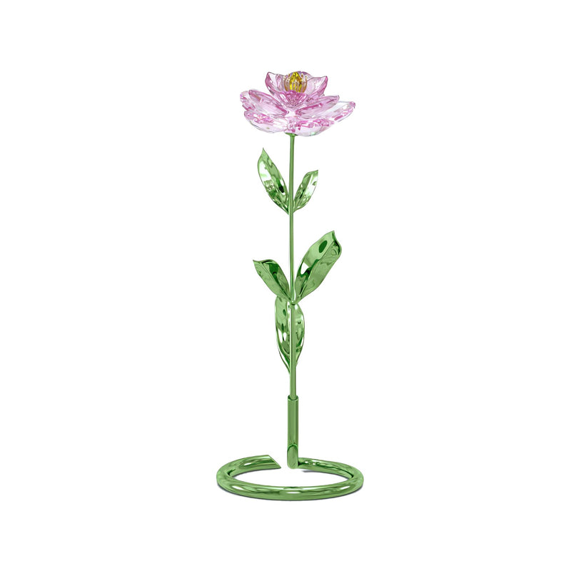 Swarovski Florere Peony