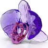 Swarovski Crystal Society Idyllia Orchid Petal