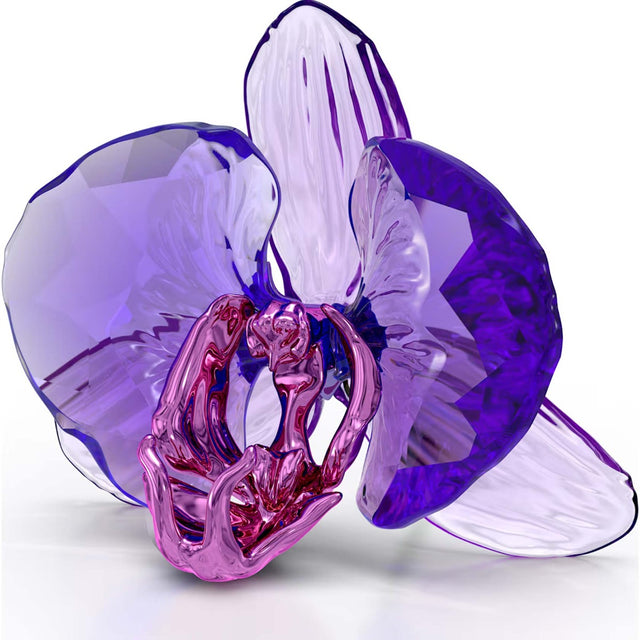 Swarovski Crystal Society Idyllia Orchid Petal
