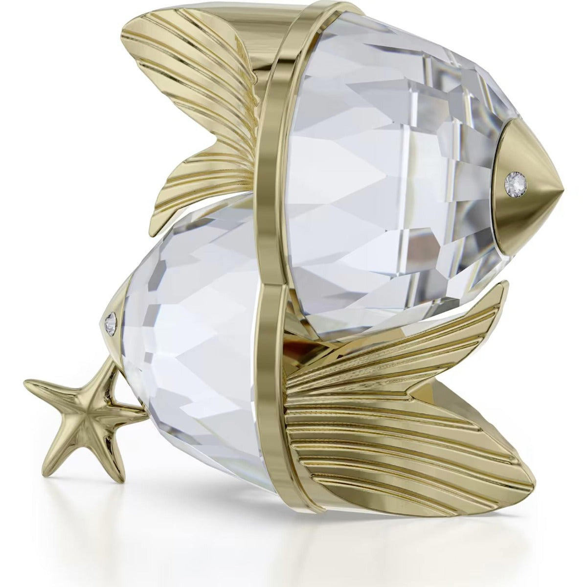 Swarovski Chinese Zodiac Tiger – David Shuttle Ltd