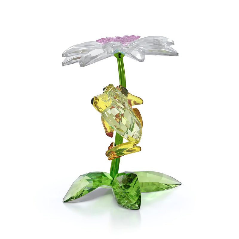 Swarovski Idyllia Frogs and Flower