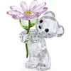 Swarovski Kris Bear A Daisy for You