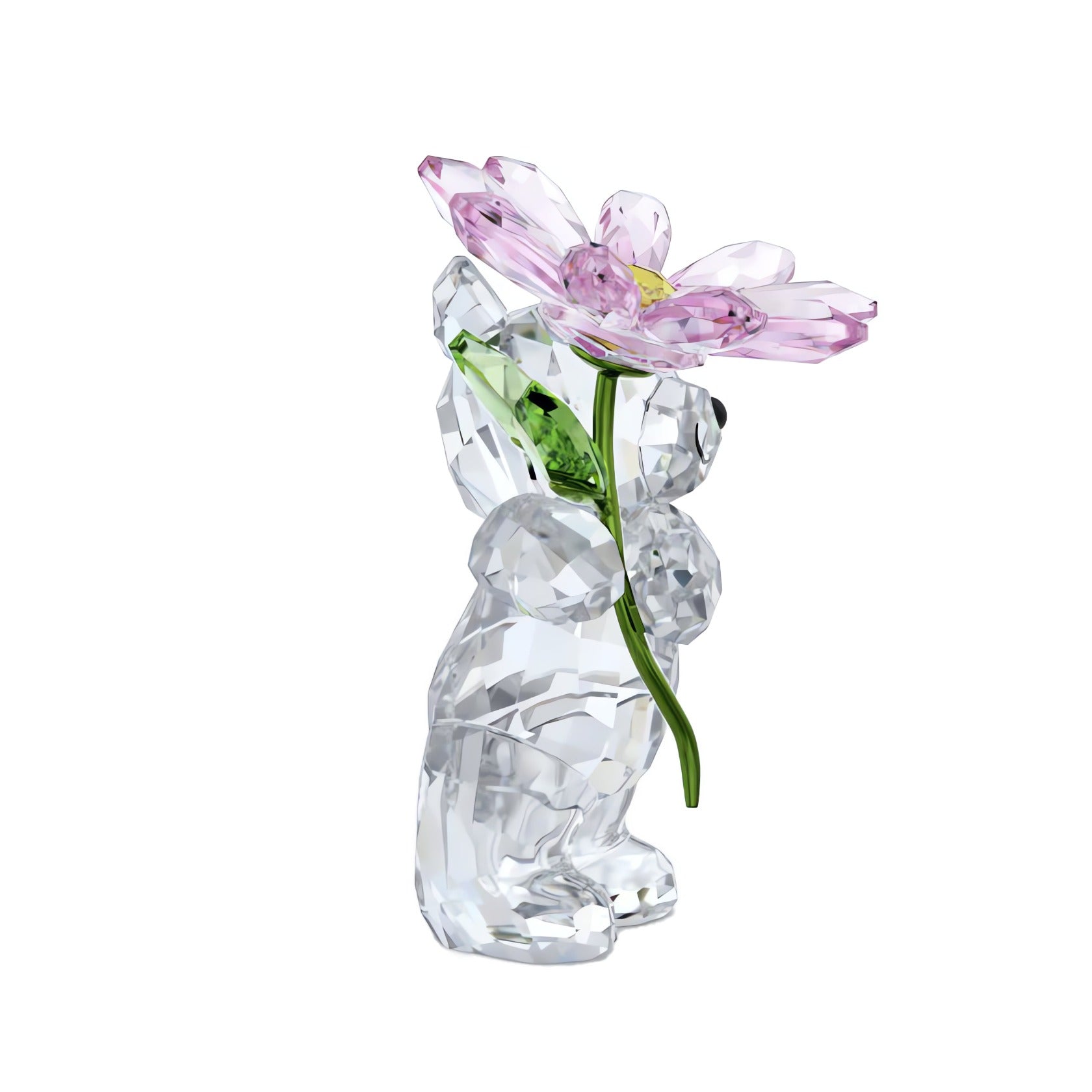 Swarovski Kris Bear A Daisy for You – David Shuttle Ltd