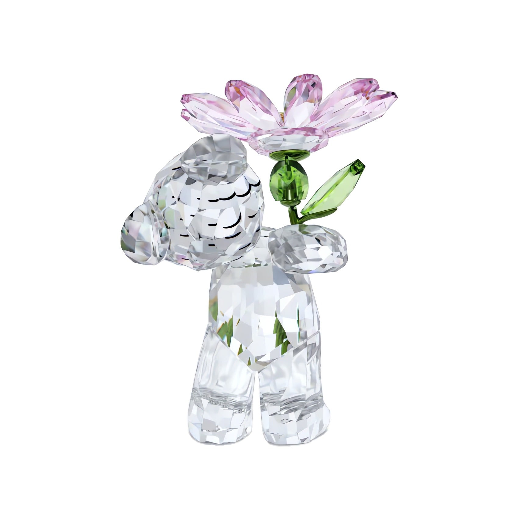 Swarovski Kris Bear A Daisy for You – David Shuttle Ltd