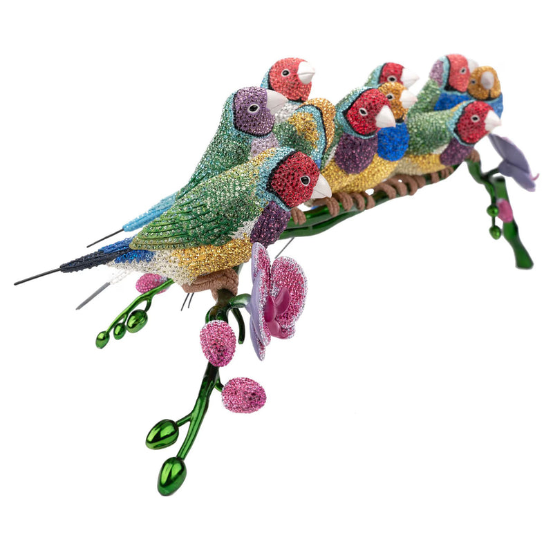 Swarovski Crystal Myriad Gouldian Finches
