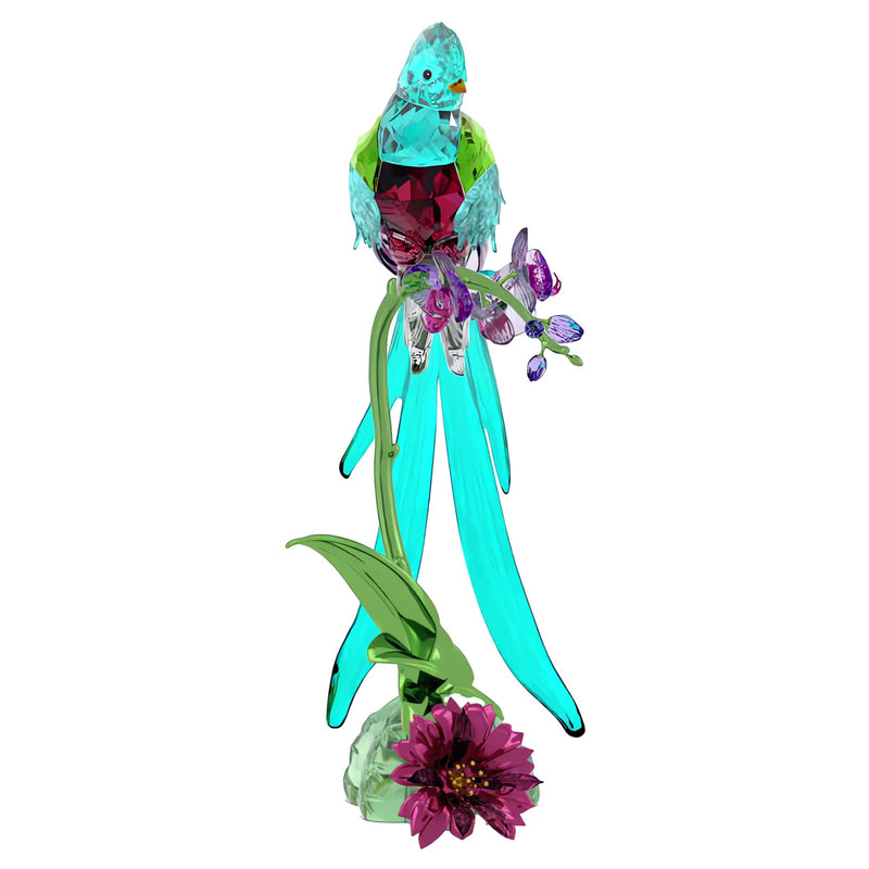 Swarovski Idyllia Quetzal and Orchid
