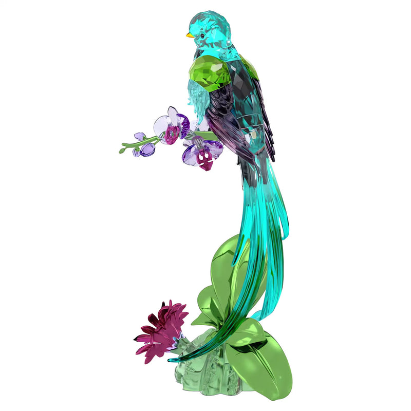 Swarovski Idyllia Quetzal and Orchid