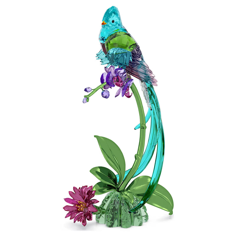 Swarovski Idyllia Quetzal and Orchid