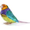 Swarovski Crystal Society Idyllia Gouldian Finch, Small