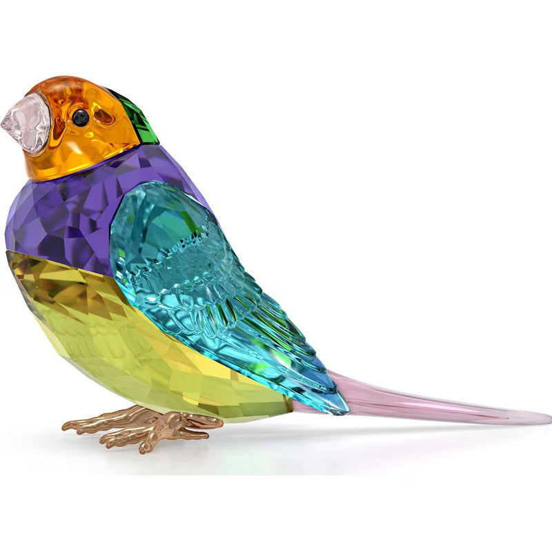 Swarovski Idyllia SCS Gouldian Finch, Small

