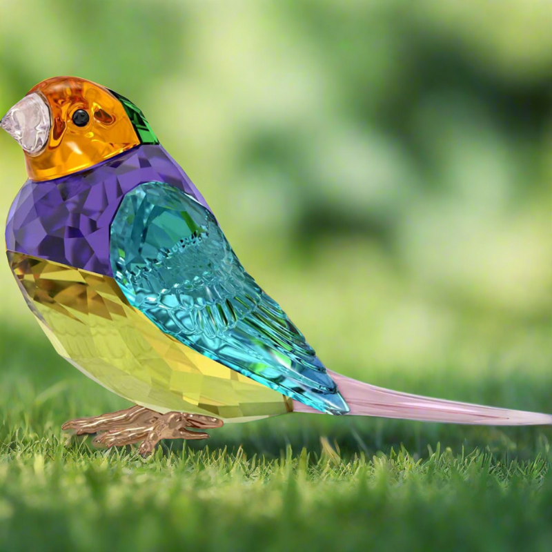 Swarovski Crystal Society Idyllia Gouldian Finch, Small
