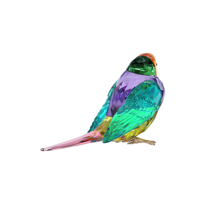 Swarovski Crystal Society Idyllia Gouldian Finch, Small