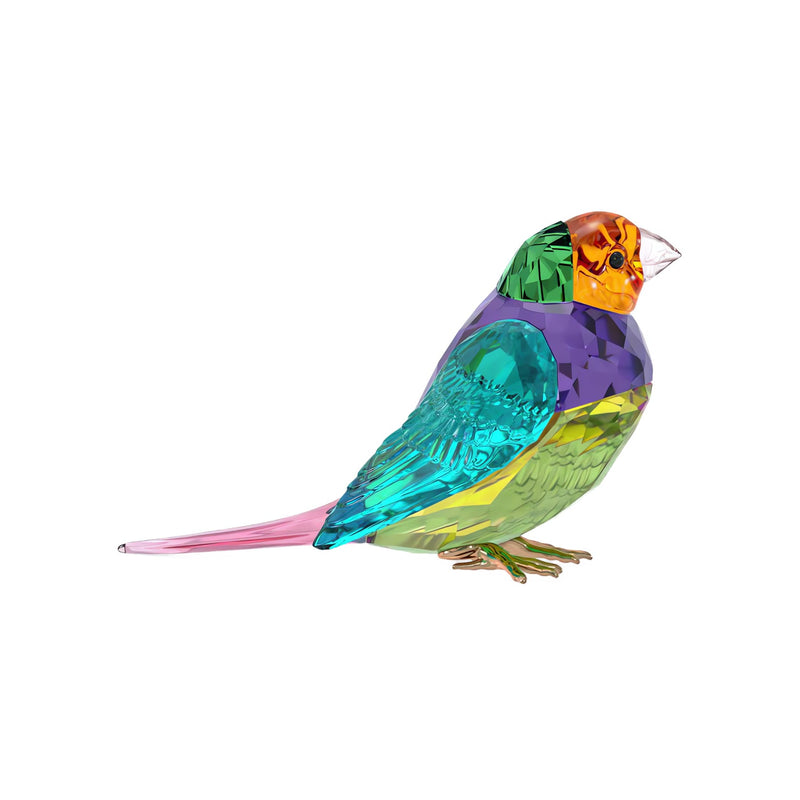 Swarovski Crystal Society Idyllia Gouldian Finch, Small
