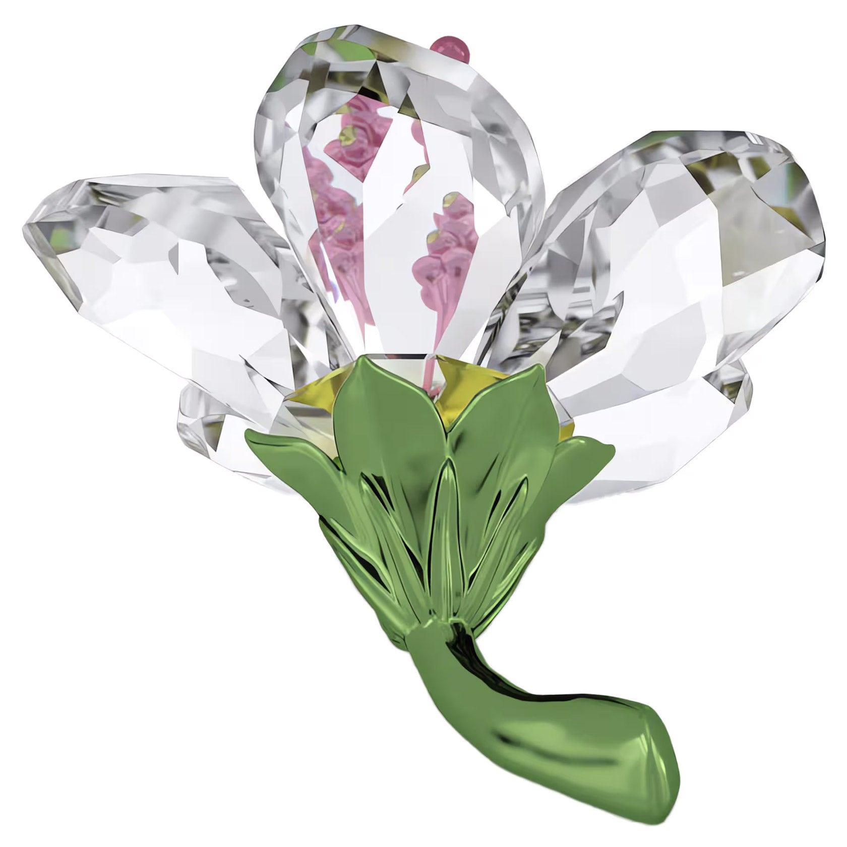 Swarovski Florere Hibiscus, Small – David Shuttle Ltd