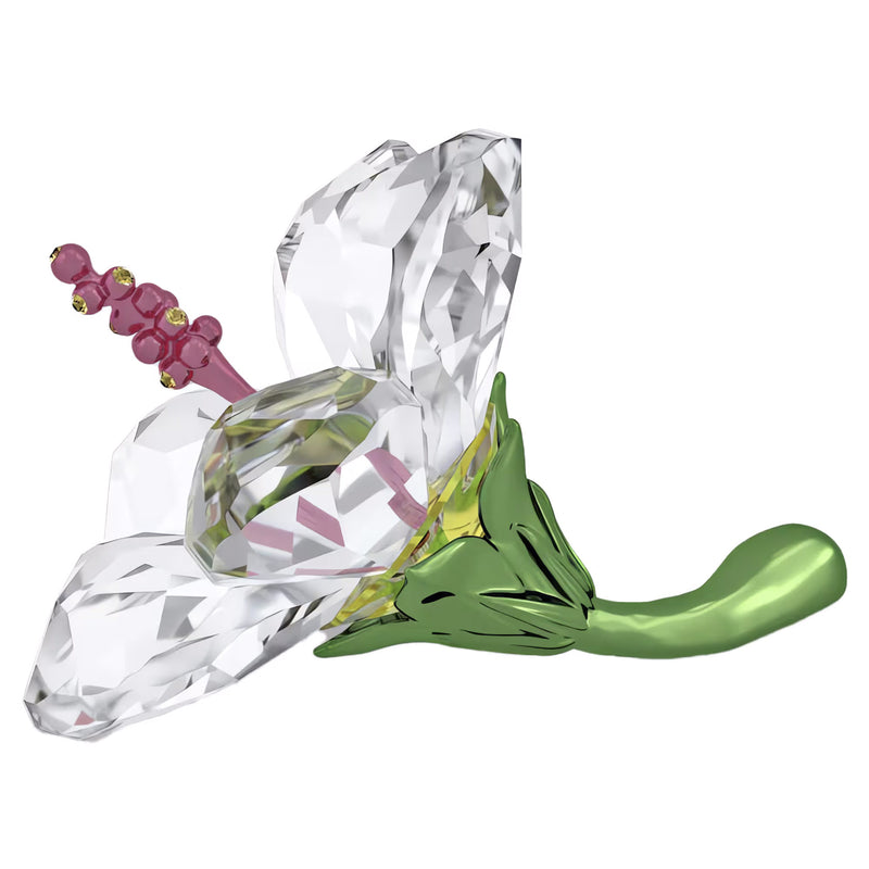 Swarovski Florere Hibiscus, Small