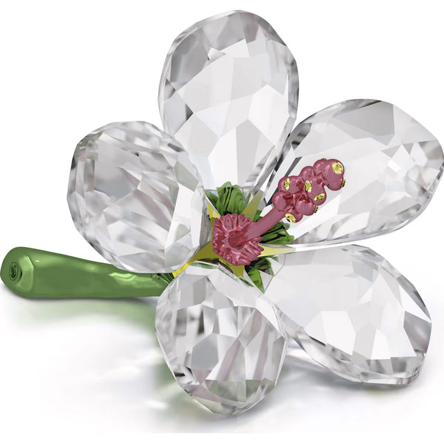 Swarovski Florere Hibiscus, Small