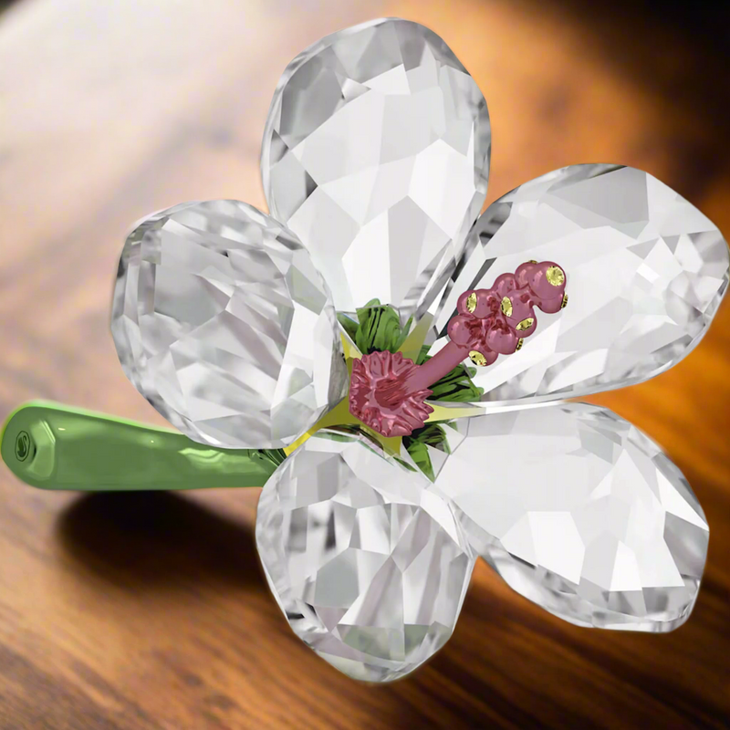 Swarovski Florere Hibiscus, Small