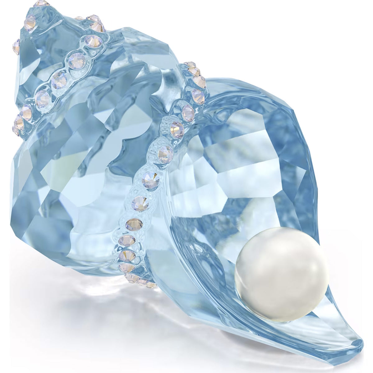 Swarovski Idyllia SCS Conch Shell and Pearl – David Shuttle Ltd