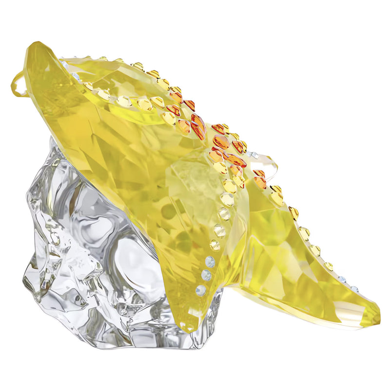 Swarovski Crystal Society Idyllia Starfish