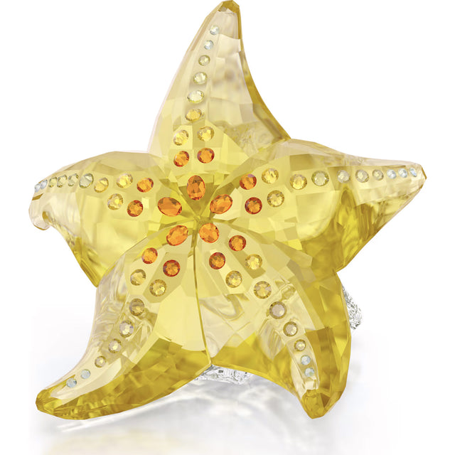 Swarovski Crystal Society Idyllia Starfish