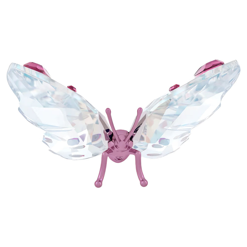 Swarovski Idyllia Butterfly, Small