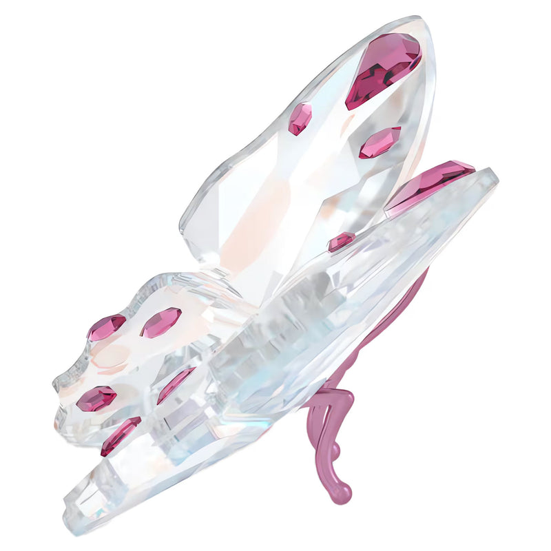 Swarovski Idyllia Butterfly, Small