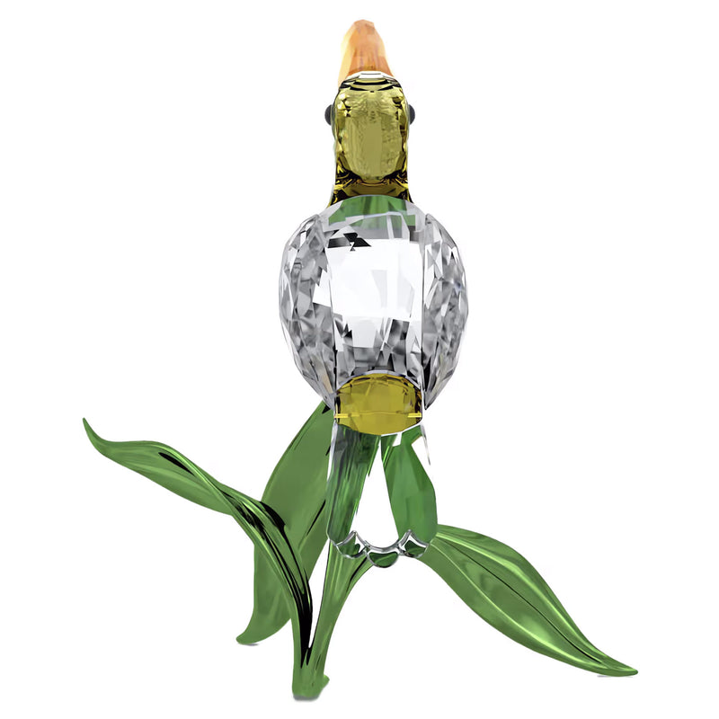 Swarovski Idyllia Toucan