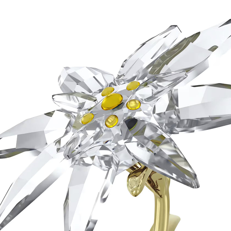 Swarovski Florere 130th Anniversary Bell Jar