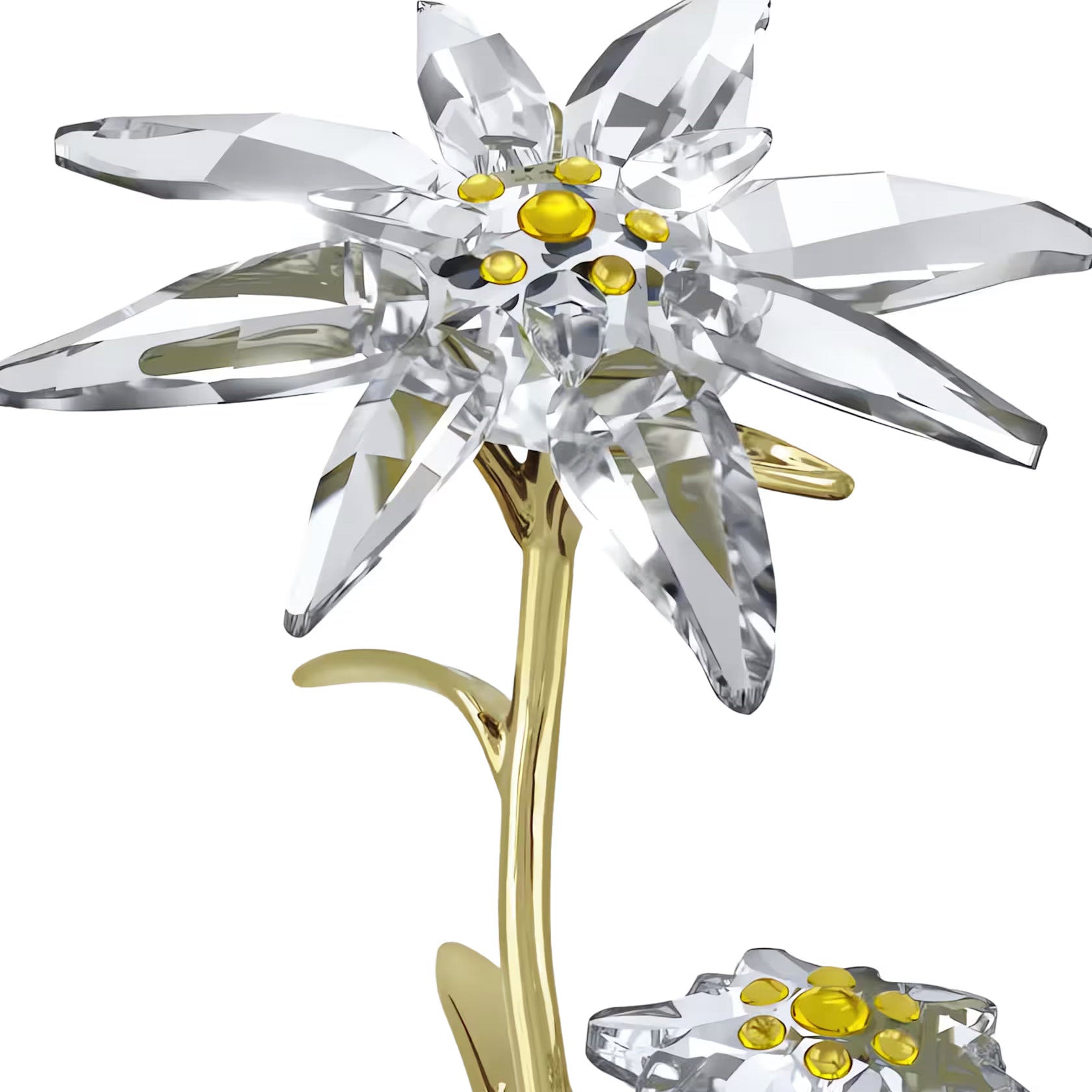 Swarovski Florere 130th Anniversary Bell Jar – David Shuttle Ltd