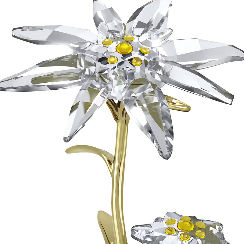 Swarovski Florere 130th Anniversary Bell Jar