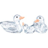 Swarovski Ducks