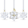Swarovski Annual Edition 3D Ornament Set 2026