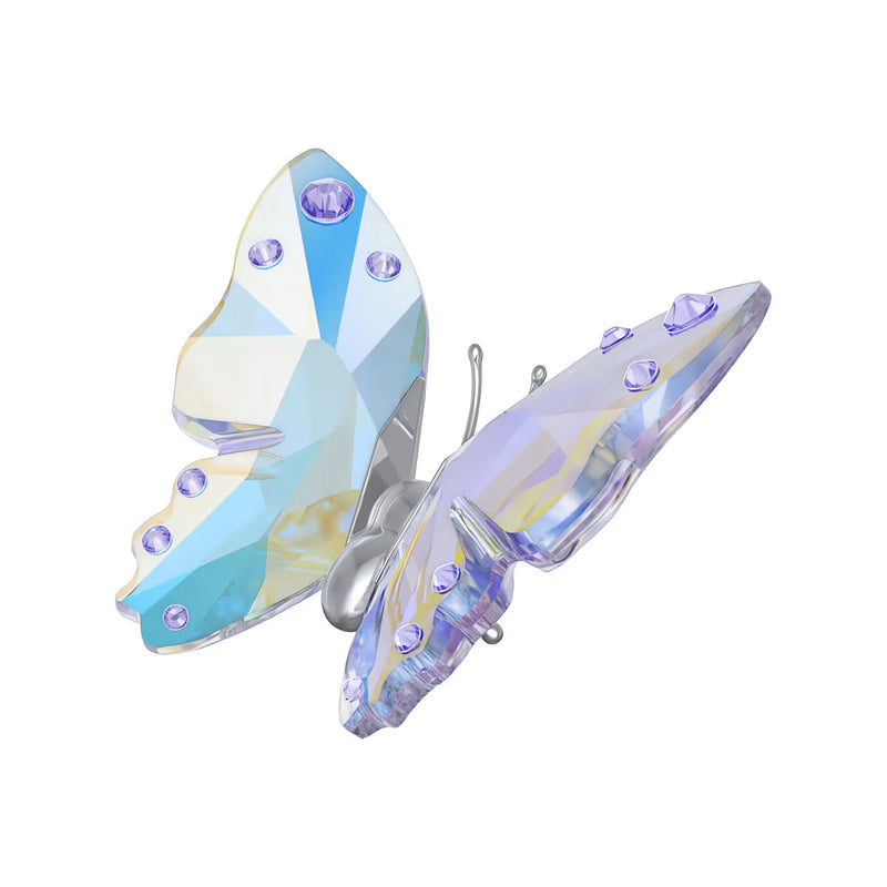 Swarovski 2026 Capsule Butterfly