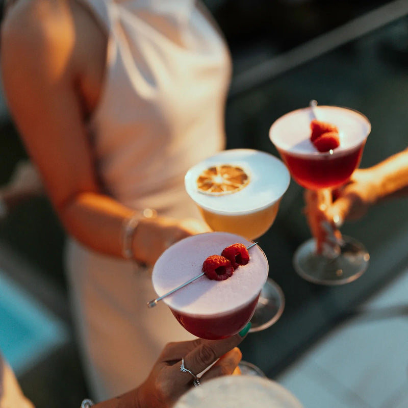 Pair of tulip-shaped sour glasses filled with red drinks and berry garnish