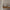 Mackenzie Childs Violet Check Pitcher