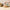 Mackenzie-Childs Wild Rose Mauve 2 Quart Tea Kettle