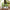 Mackenzie-Childs Sky Check Herb Pots, Set of 3