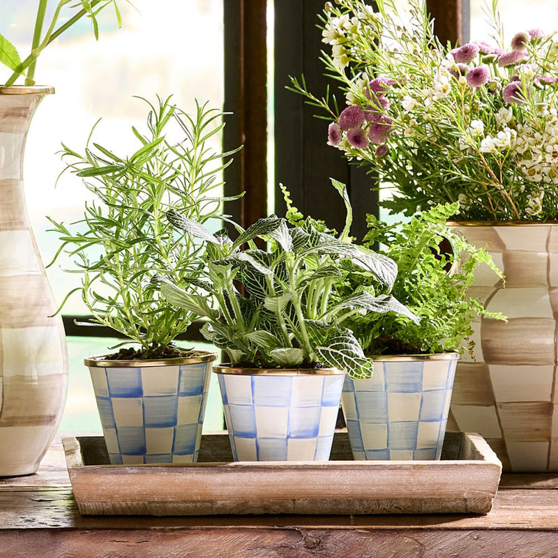 Mackenzie-Childs Sky Check Herb Pots, Set of 3