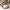 Mackenzie-Childs Courtly Check Enamel Soap Dish