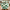 Mackenzie-Childs Emerald Check Large Vase