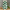 Mackenzie-Childs Emerald Check Tall Vase