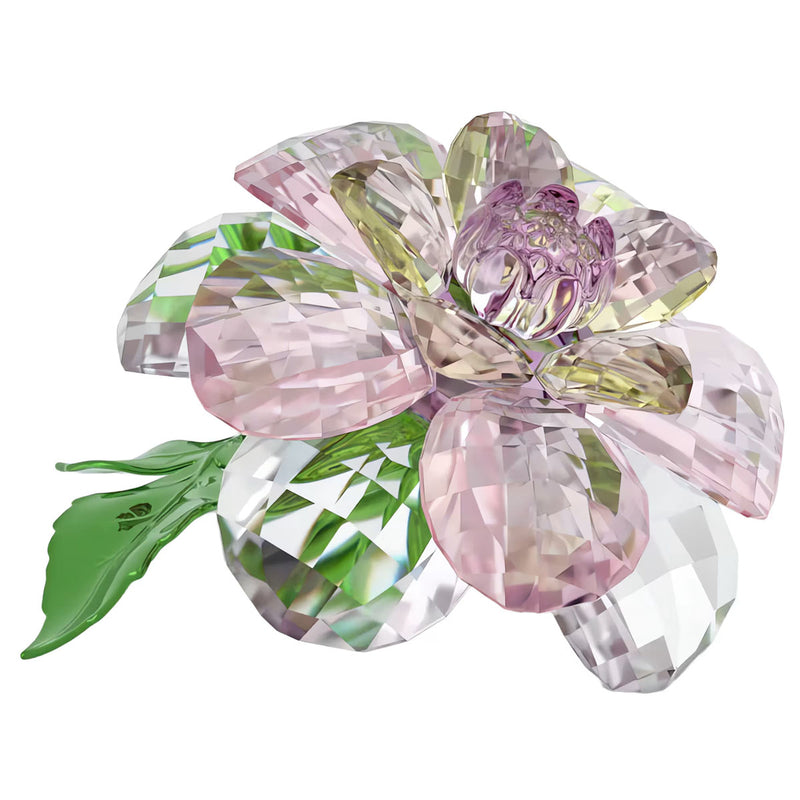 Swarovski Florere Camellia