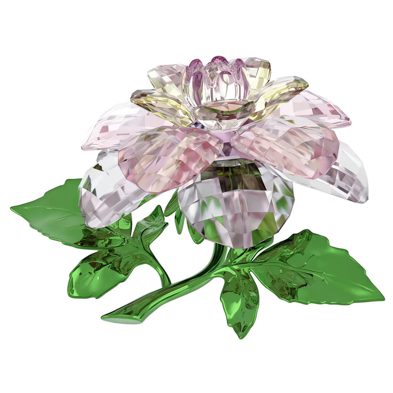 Swarovski Florere Camellia