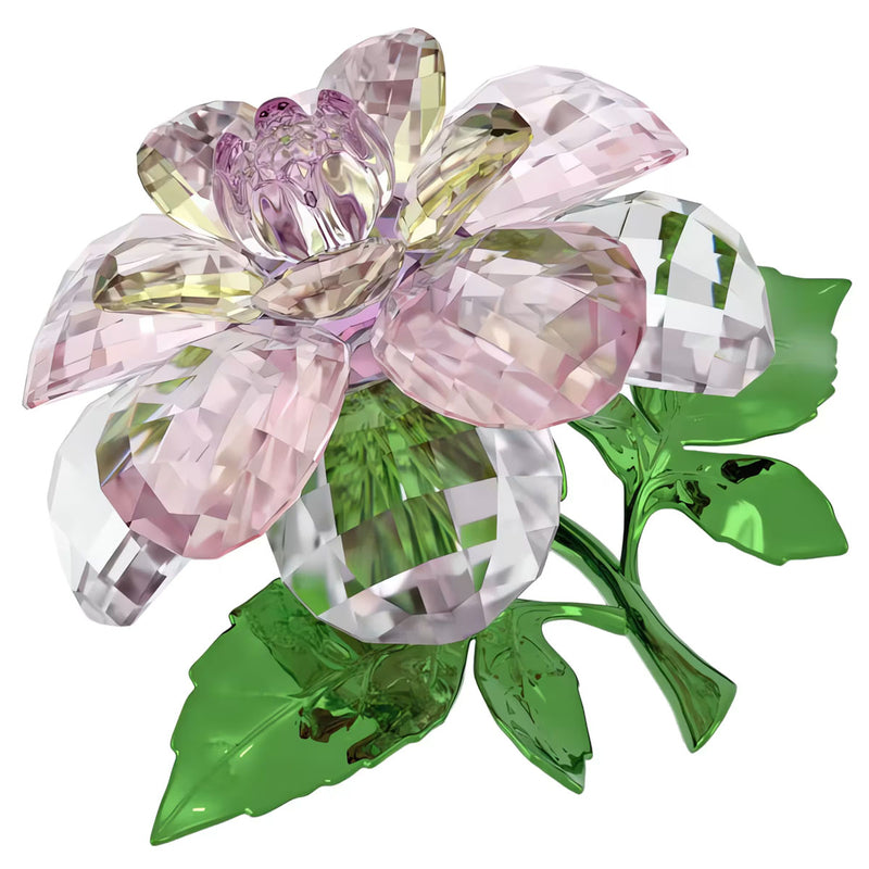 Swarovski Florere Camellia